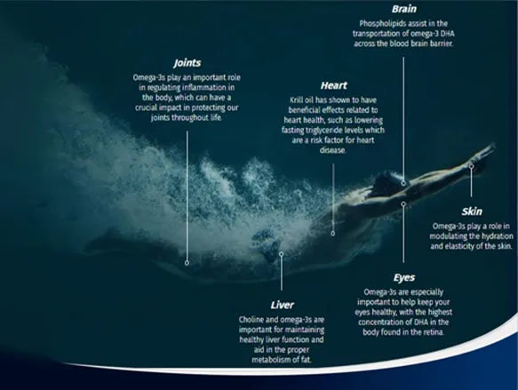 Bioglan Red Krill Oil Double Strength 1000mg 60 Capsules in Sri Lanka