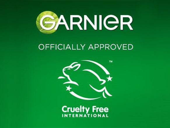 Garnier Moisture Bomb Sheet Mask for Dehydrated Skin 28g - CANADA in Sri Lanka