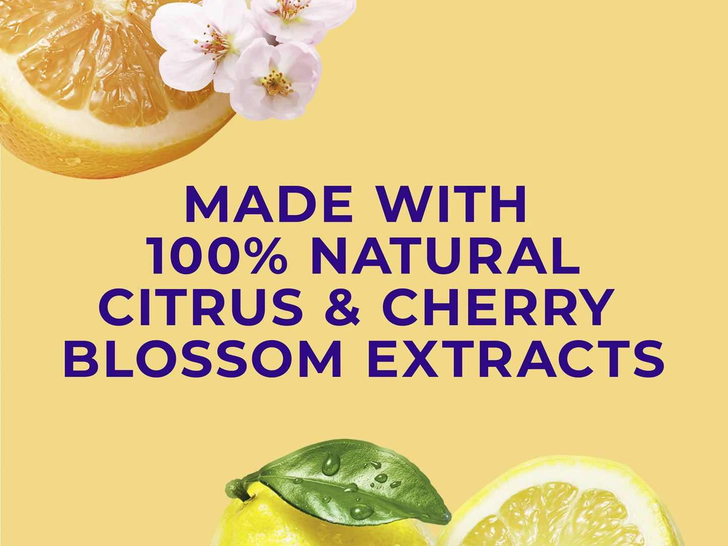 St. Ives Citrus Cherry Blossom Energizing Body Wash 650ml in Sri Lanka