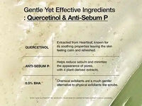 Anua Heartleaf Quercetinol Pore Deep Cleansing Foam 150ml