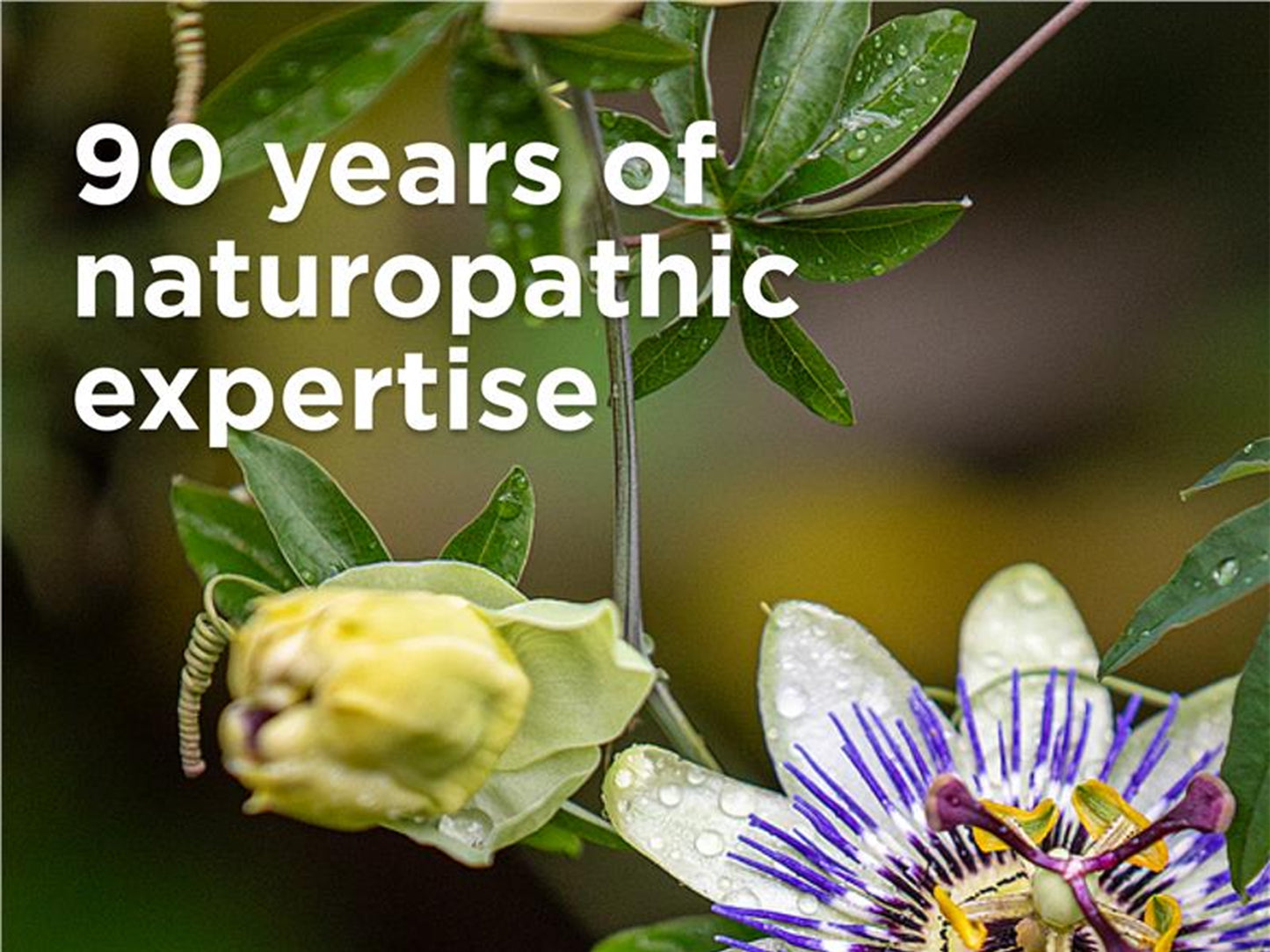 Blackmores Fish Oil 1000 Odourless 400 Capsules in Sri Lanka