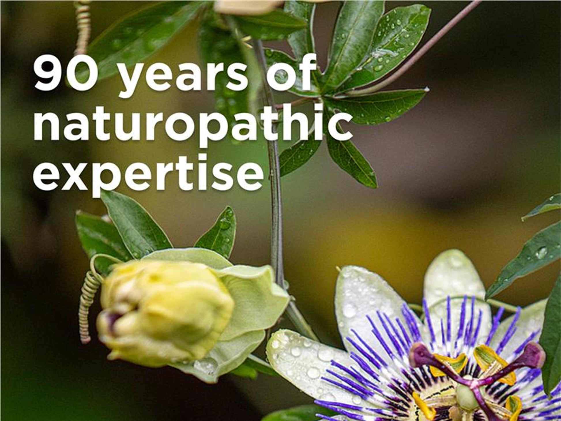 Blackmores Fish Oil 1000 Odourless 400 Capsules in Sri Lanka