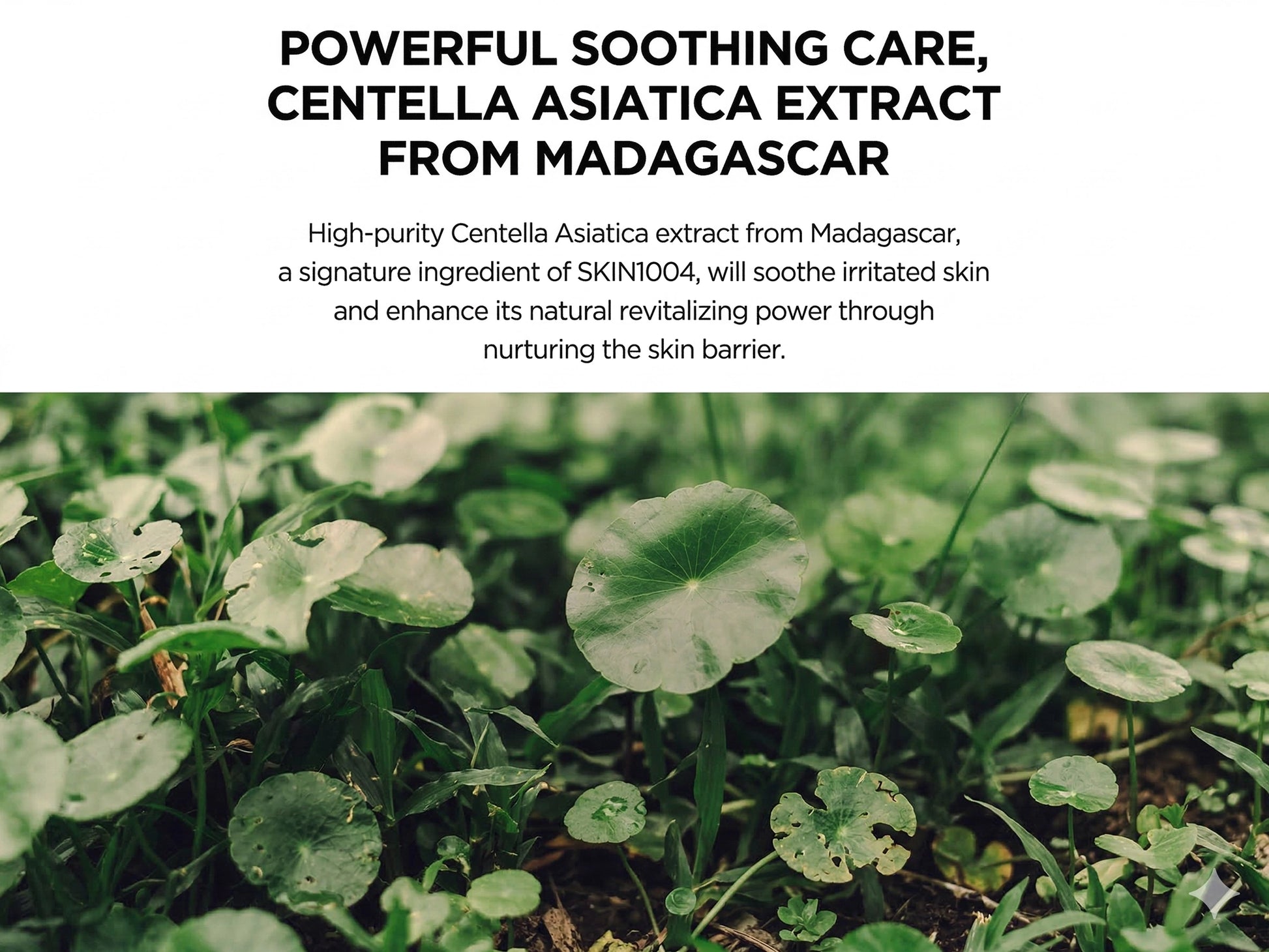 Centella Hyalu-Cica Water Fit Sun Serum SPF 50+ 50ml - Korea in Sri Lanka