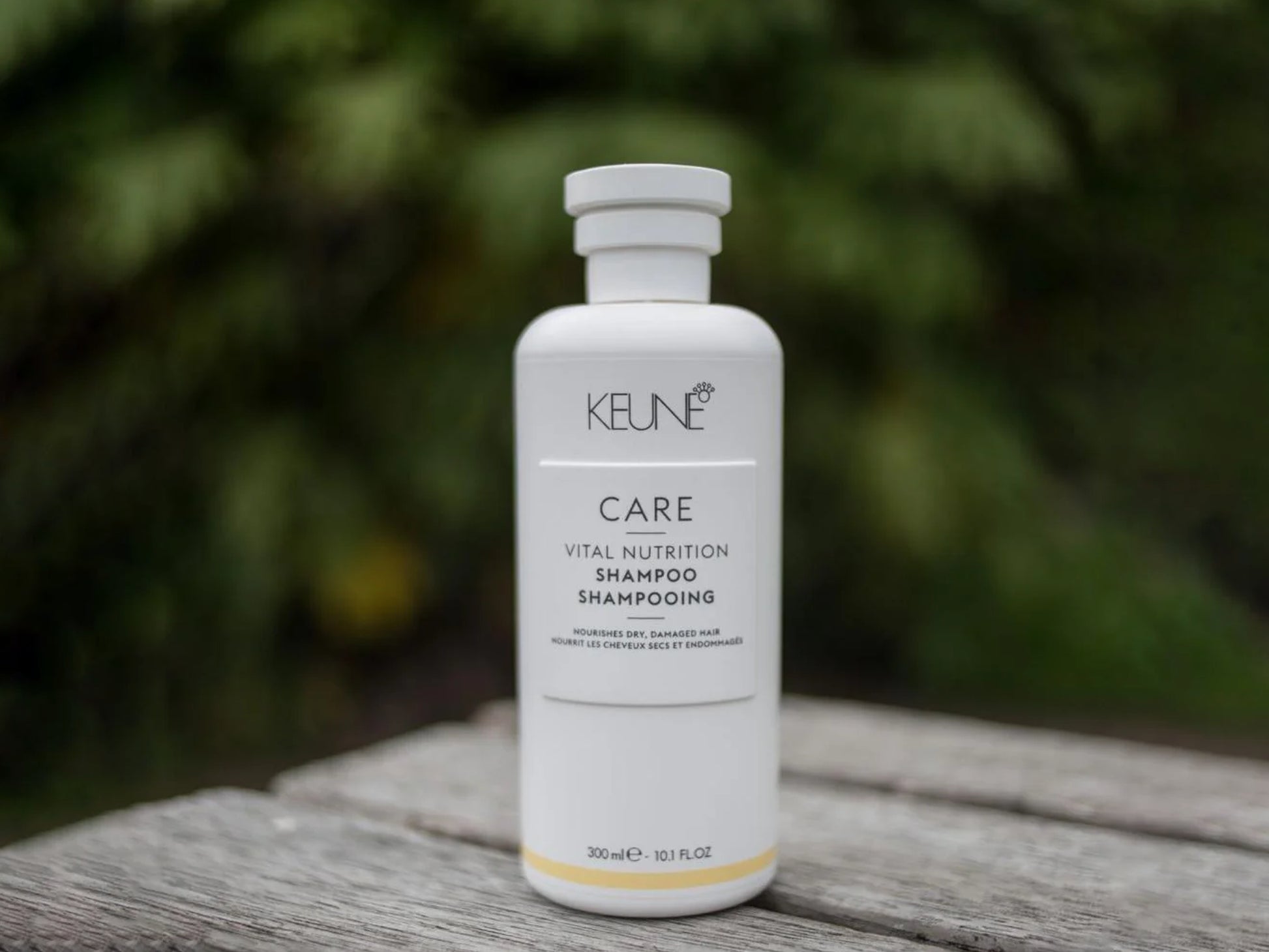 Keune Care Vital Nutrition Shampoo 300ml in Sri Lanka