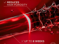 Loreal Color Radiance Protecting Conditioner 375ml in Sri Lanka