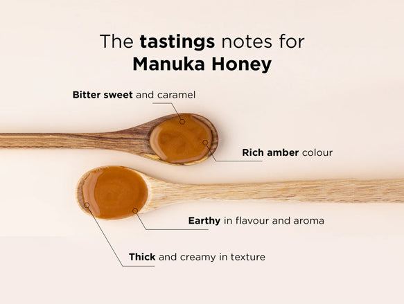 Manuka Doctor Manuka Honey 500g in Sri Lanka