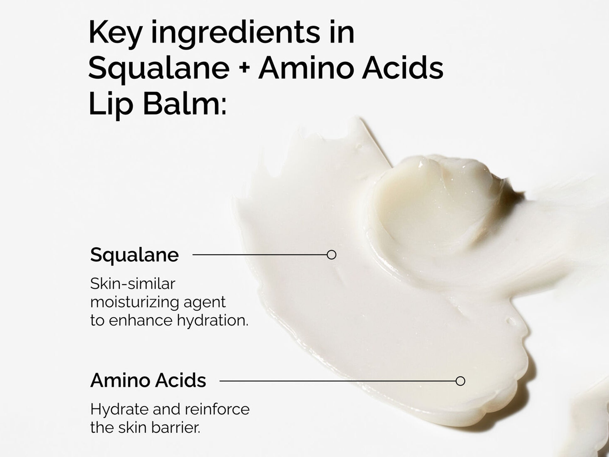 The Ordinary Squalane + Amino Acids Lip Balm 15ml in Sri Lanka