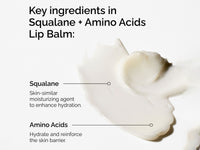 The Ordinary Squalane + Amino Acids Lip Balm 15ml in Sri Lanka