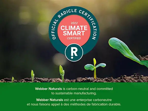 Webber Naturals Vitamin B12 2500 mcg Natural Cherry Flavor 110 Tablets in Sri Lanka